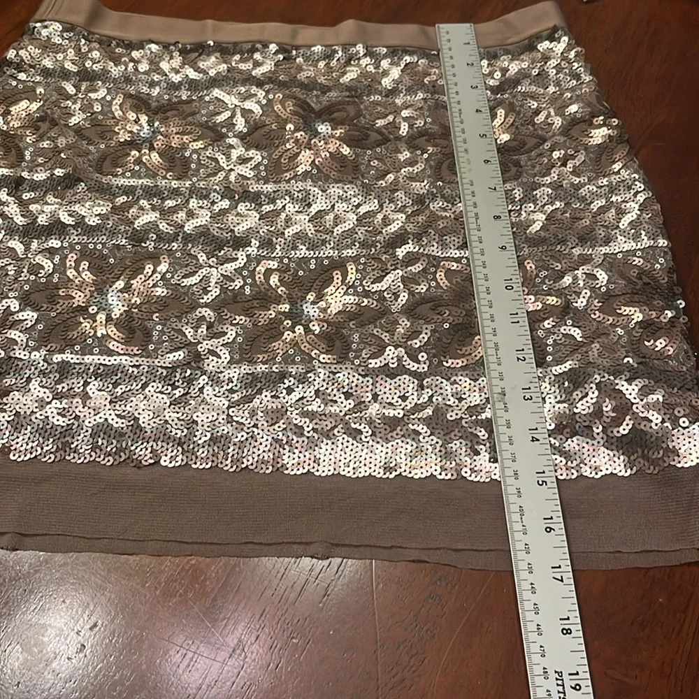 NWT CHELSEA & VIOLET ICE PRINCESS Elegant Sequin Embellished MINI Skirt LARGE - Picture 5 of 9